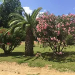 Apartment Emilia Santa-Maria-Poggio (Corsica)