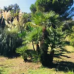 Emilia Santa-Maria-Poggio (Corsica)