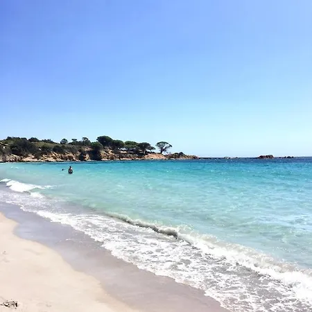 Emilia アパート *