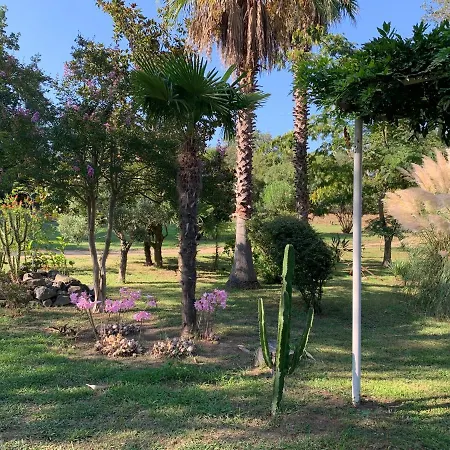 Emilia アパート Santa-Maria-Poggio