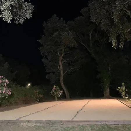 Emilia アパート *