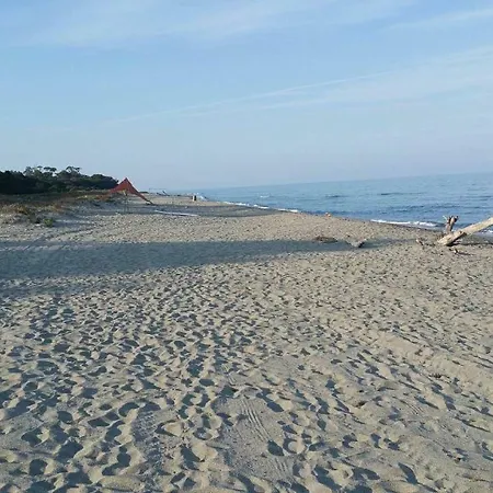 アパート Emilia Santa-Maria-Poggio