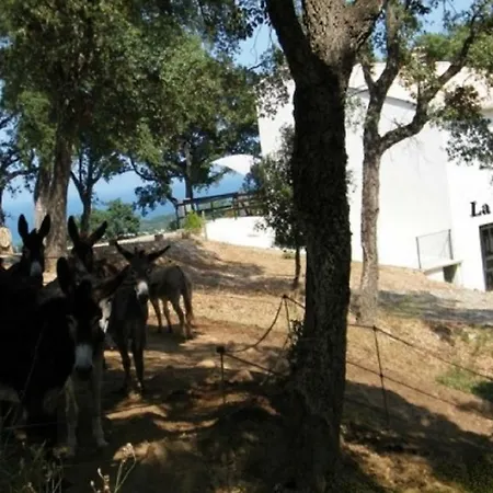 アパート Emilia *