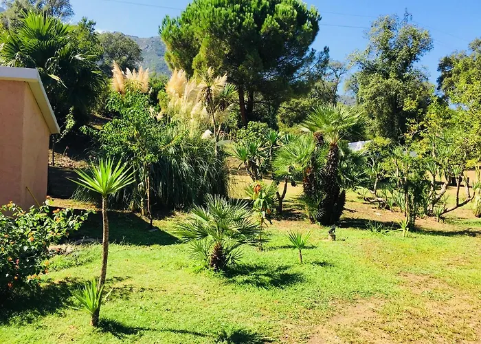 Emilia Santa-Maria-Poggio (Corsica)