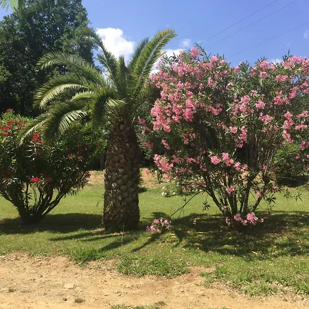 Apartment Emilia Santa-Maria-Poggio (Corsica)