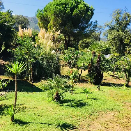 Emilia Santa-Maria-Poggio (Corsica)