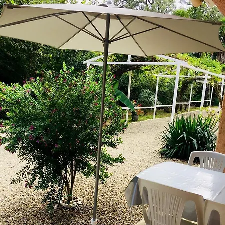 Appartement Emilia Santa-Maria-Poggio (Corsica)