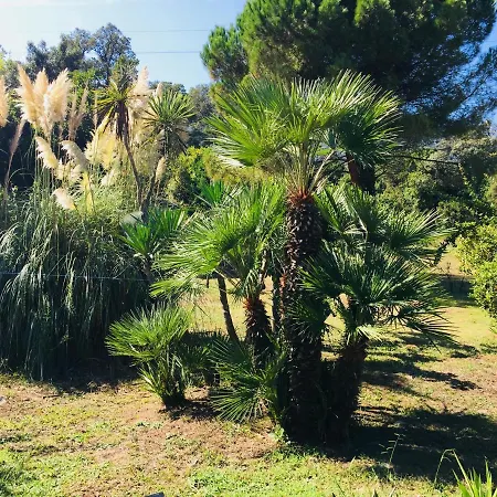 Emilia Santa-Maria-Poggio (Corsica)