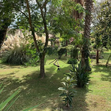 Apartment Emilia Santa-Maria-Poggio (Corsica)