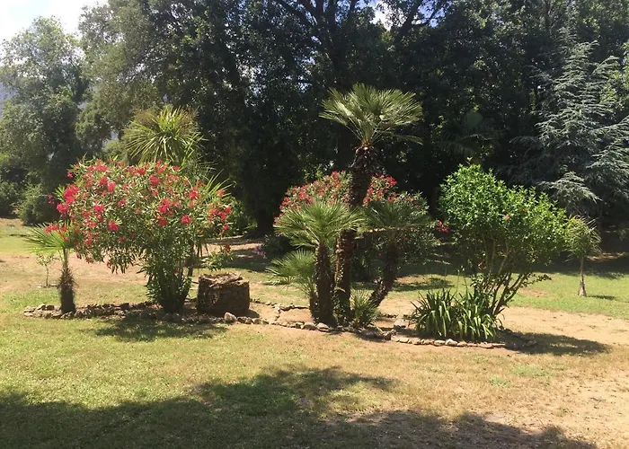 Emilia * 圣玛丽亚波焦