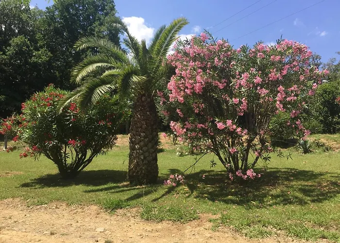 公寓 Emilia 圣玛丽亚波焦