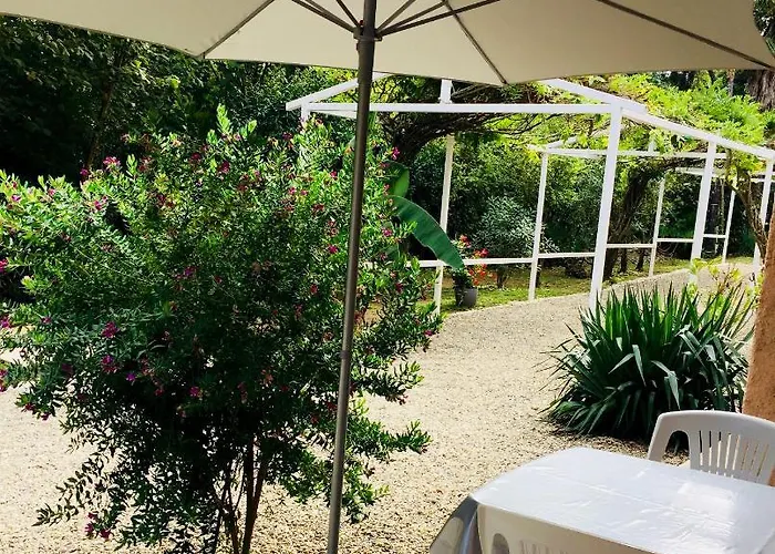 Apartment Emilia Santa-Maria-Poggio (Corsica)