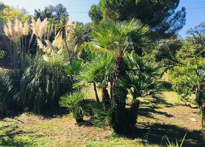 Emilia 圣玛丽亚波焦