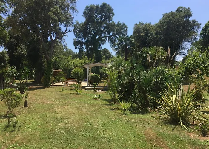 Apartament Emilia