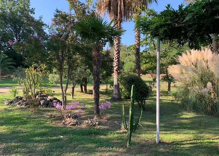 Emilia Apartment Santa-Maria-Poggio (Corsica)