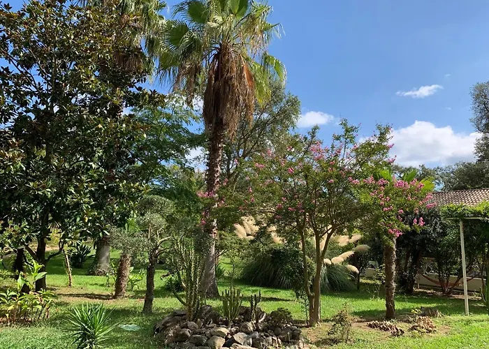 Emilia * Santa-Maria-Poggio (Corsica)