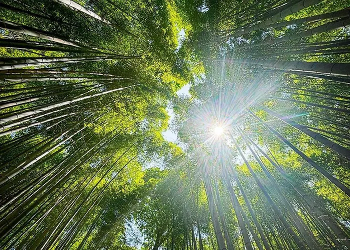 Emilia 公寓 圣玛丽亚波焦