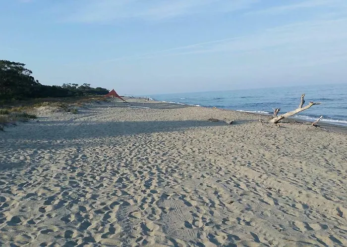 Apartment Emilia Santa-Maria-Poggio (Corsica)